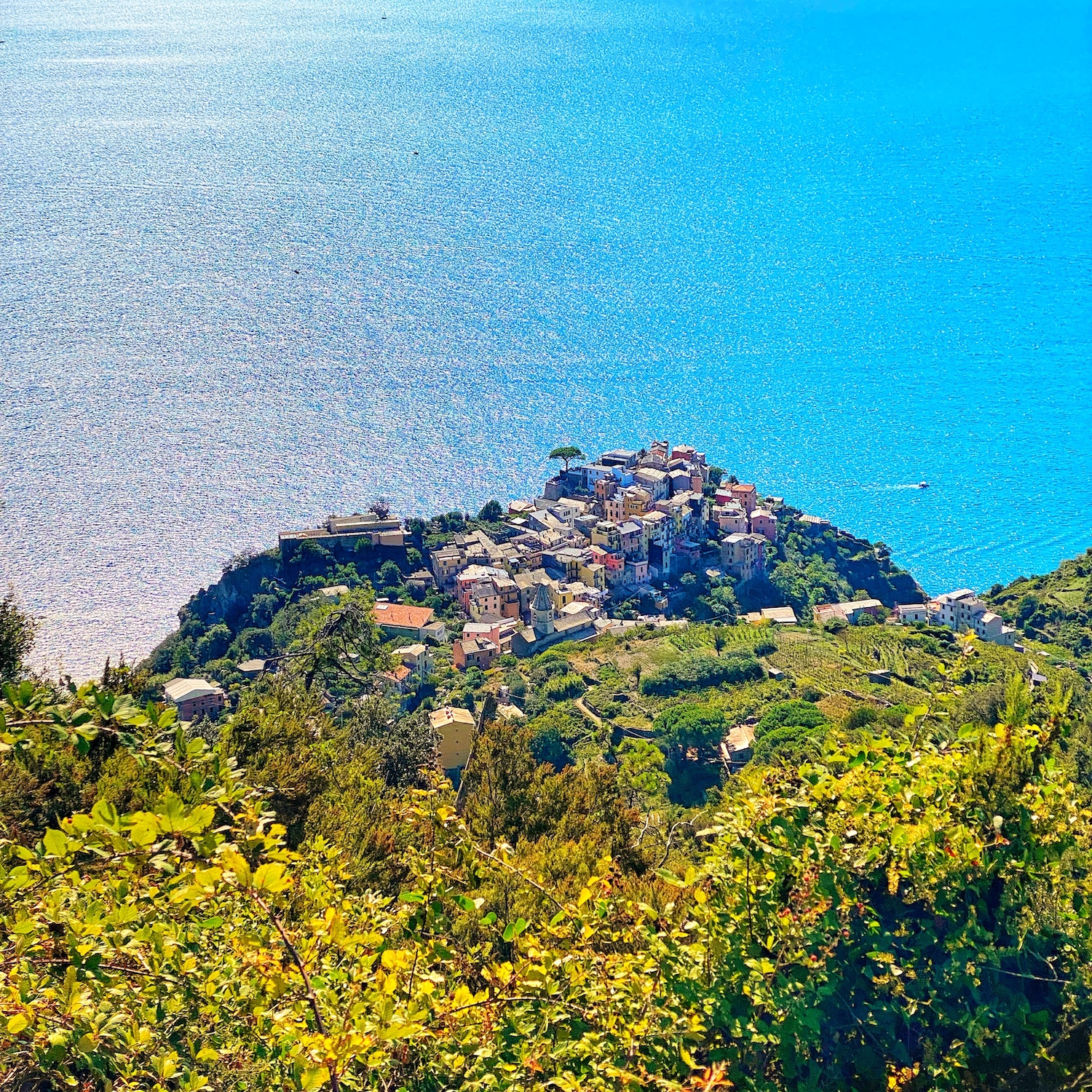 cinque terre trail in italy