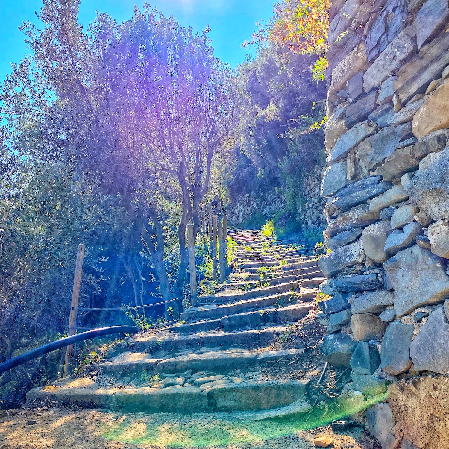 cinque terre trail in italy