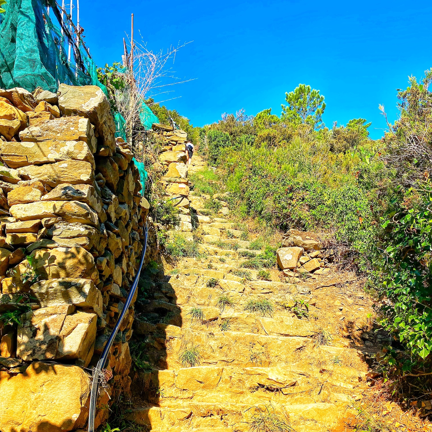 cinque terre trail in italy